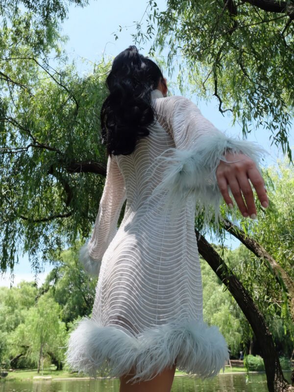 Sheer Bodycon Mini Dress with Front Cut-Outs and Feather Trim - Image 4