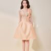 Ivy Applique Mini Dress