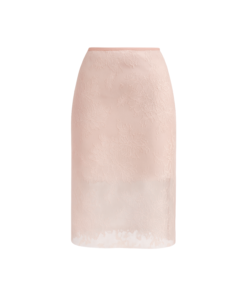 Alternative view of Rosalie A-line Skirt